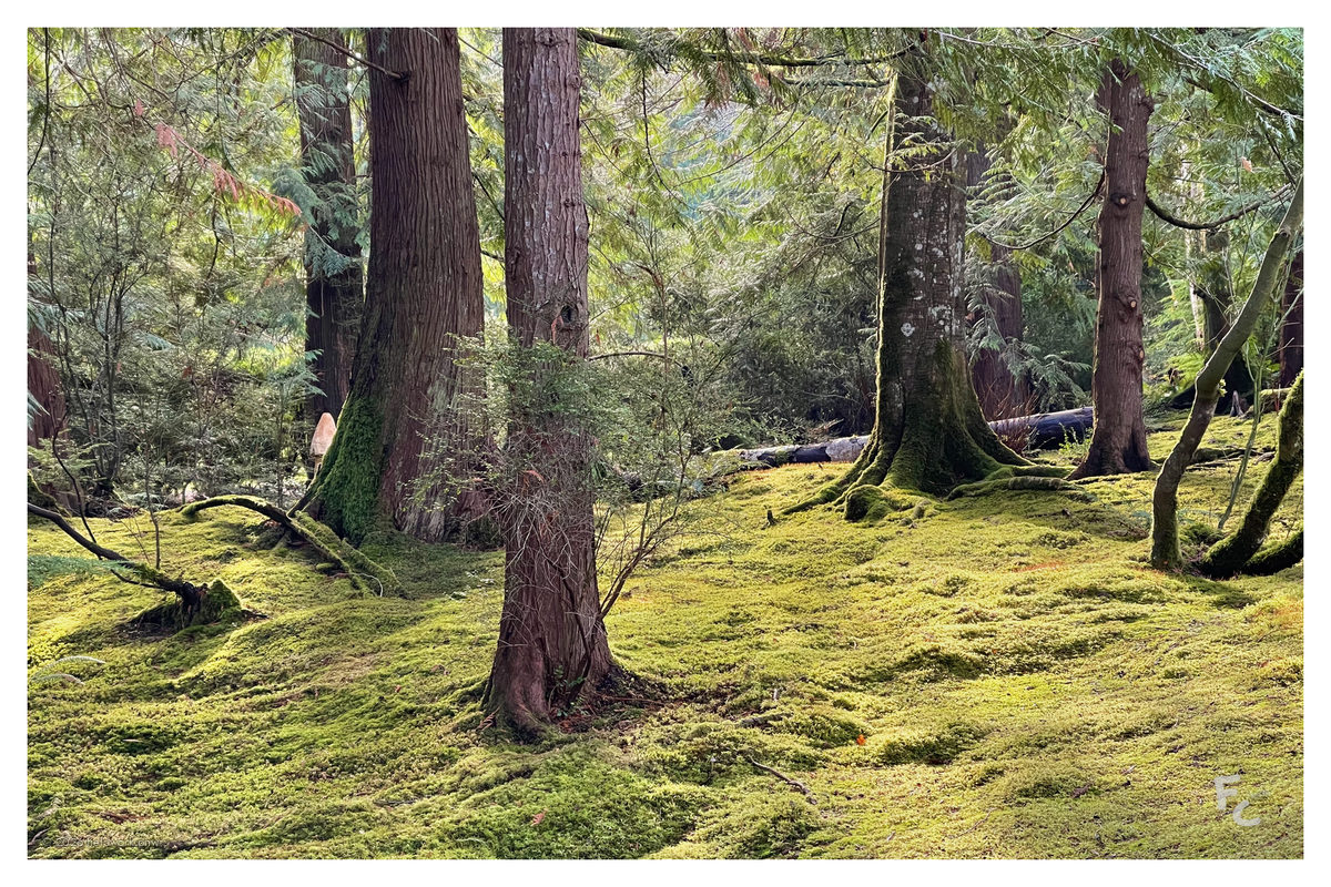 BI-0002 — Postcard · front