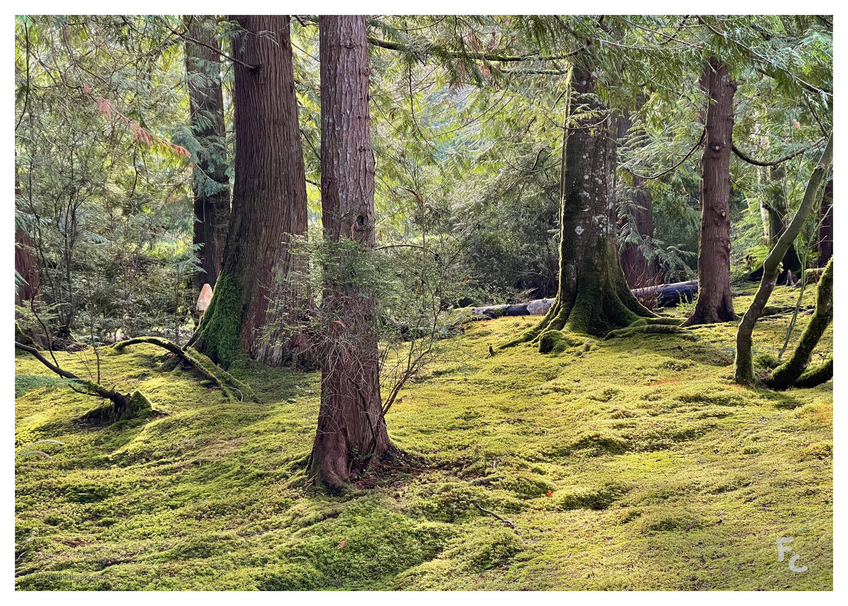 BI-0002 — Postcard