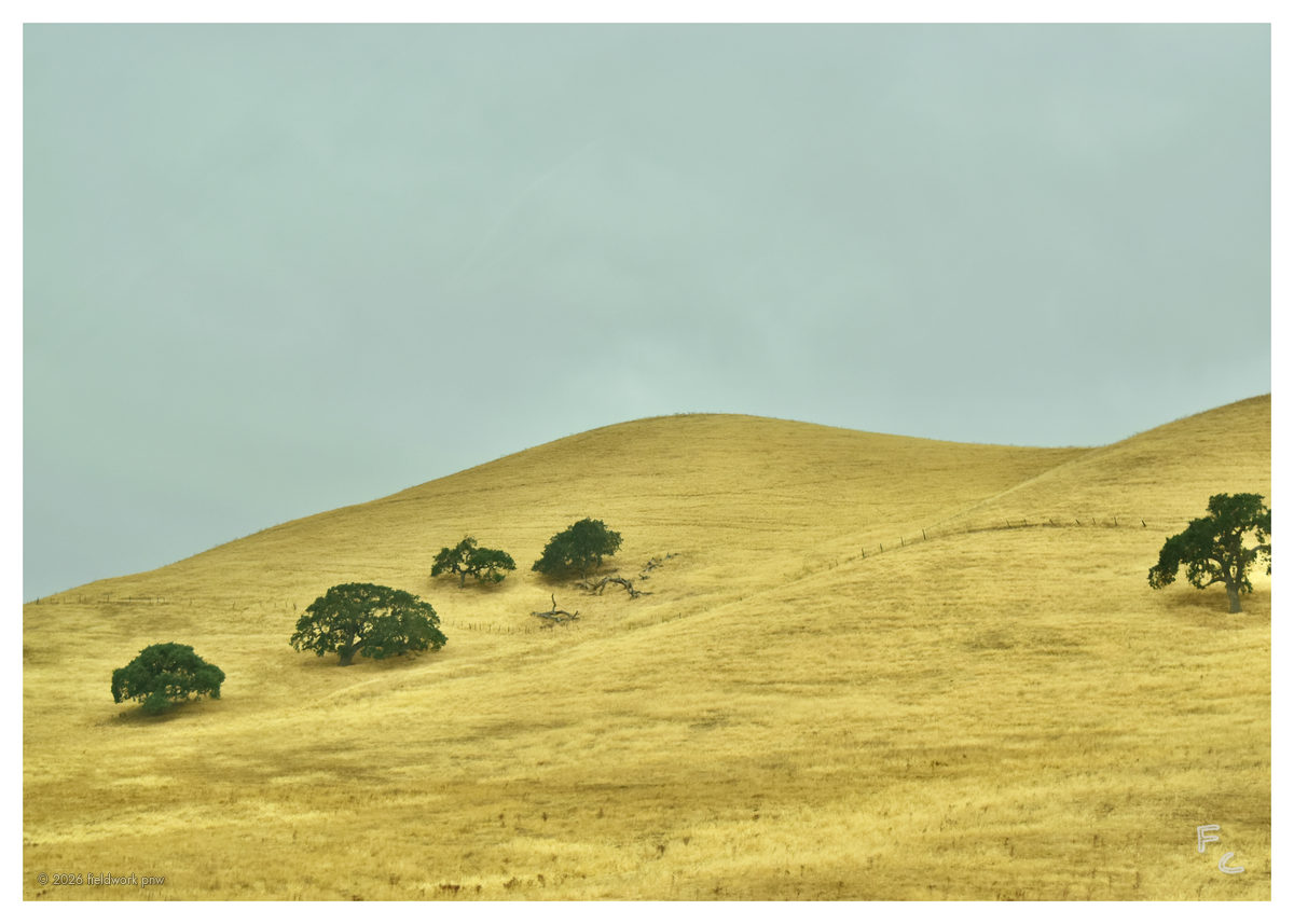 CA-0001 — Postcard