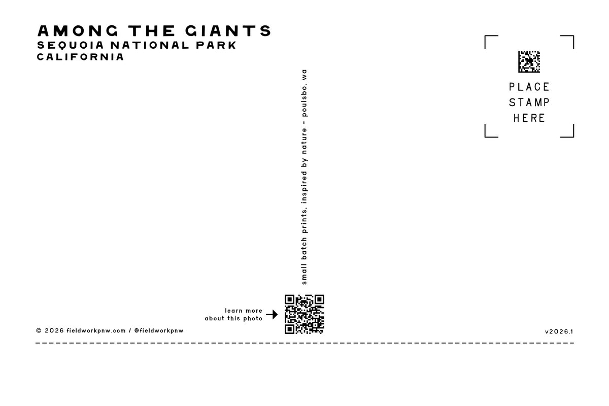 CA-0003 — Postcard · back