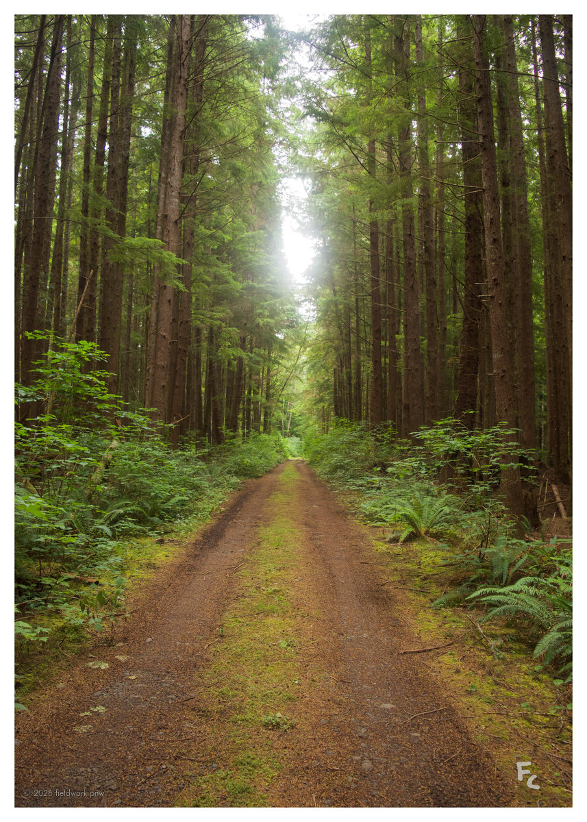 FO-0001 — Postcard