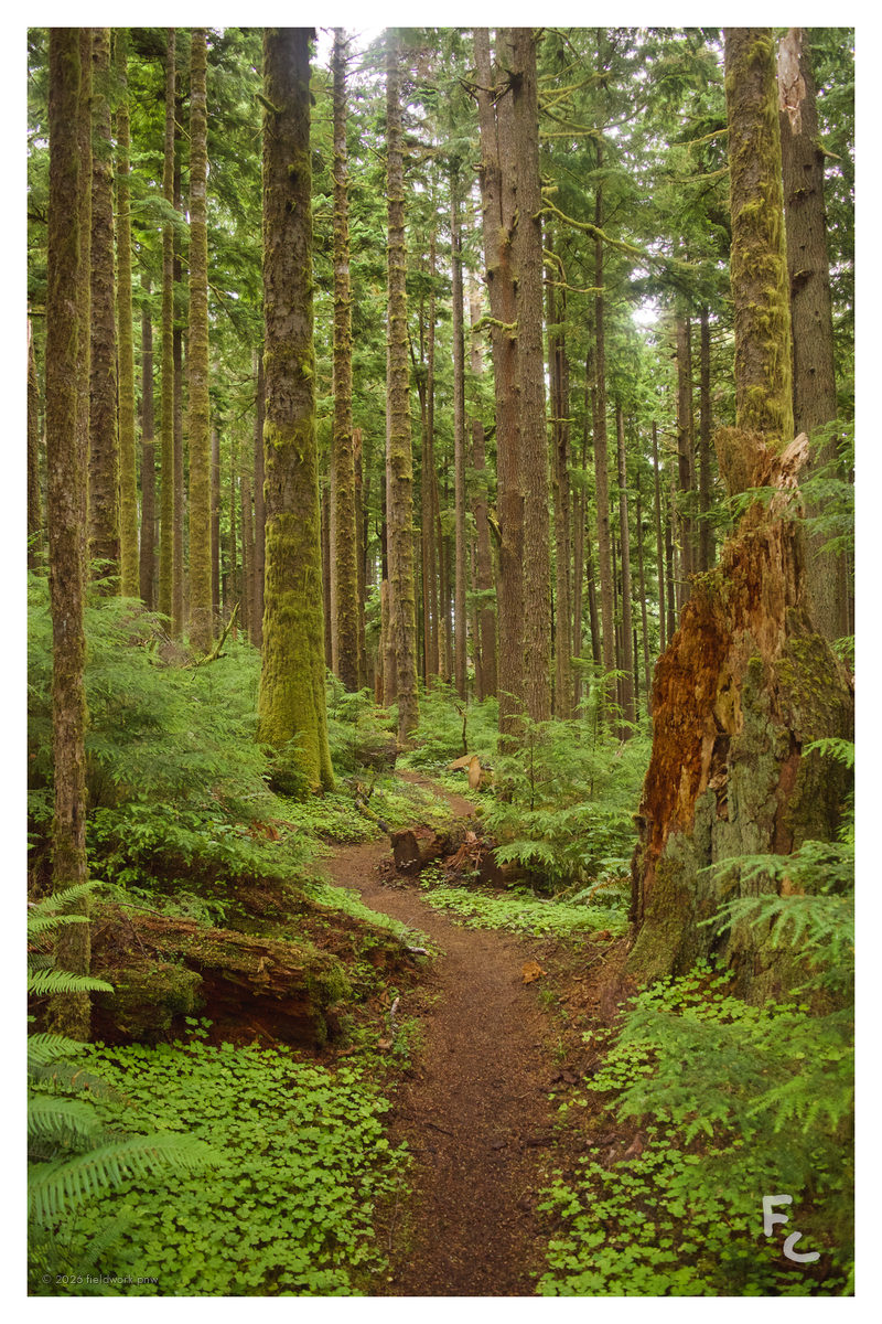 FO-0002 — Postcard · front