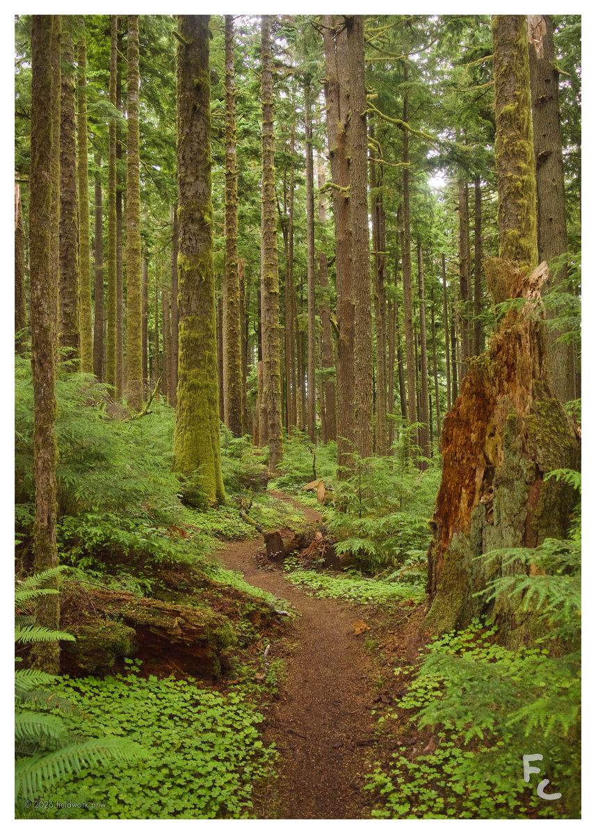 FO-0002 — Postcard