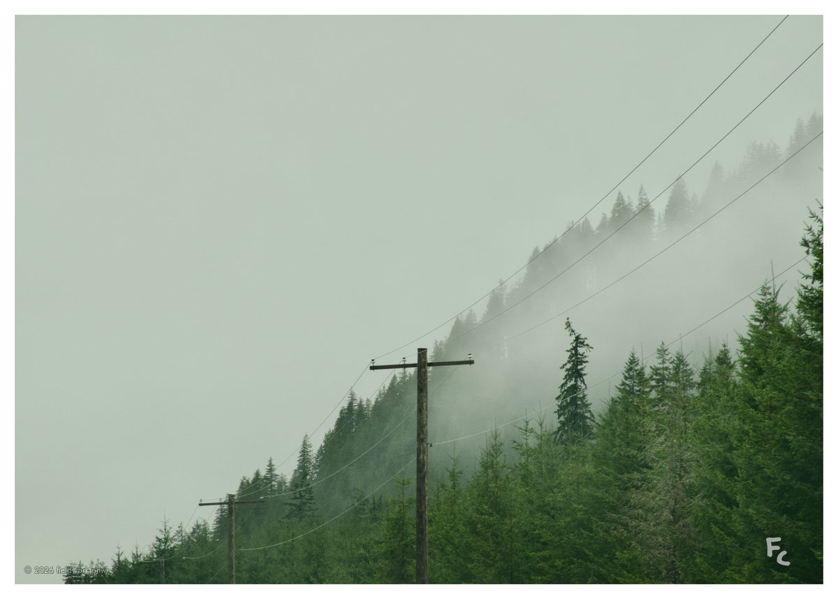 OCC-0002 — Postcard