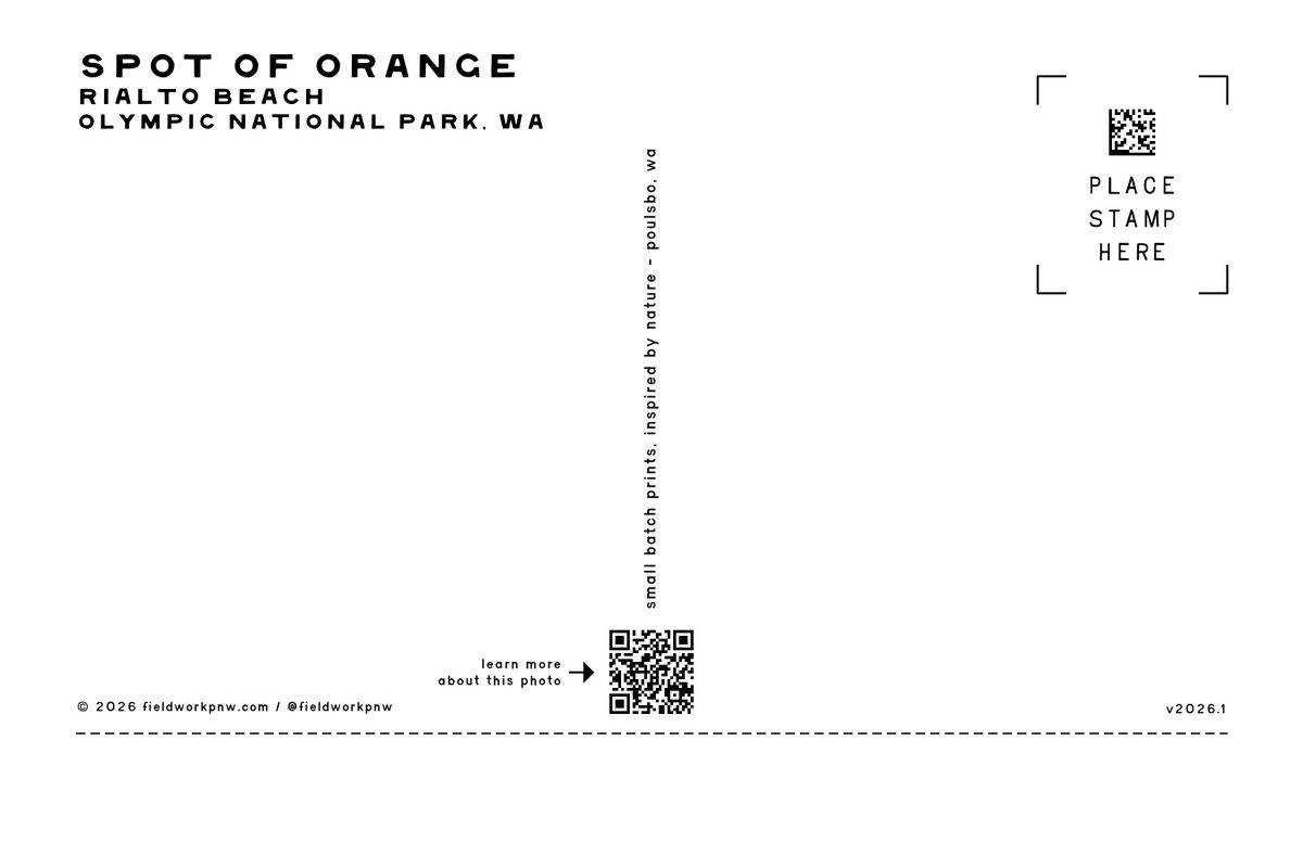 ONP-0002 — Postcard · back