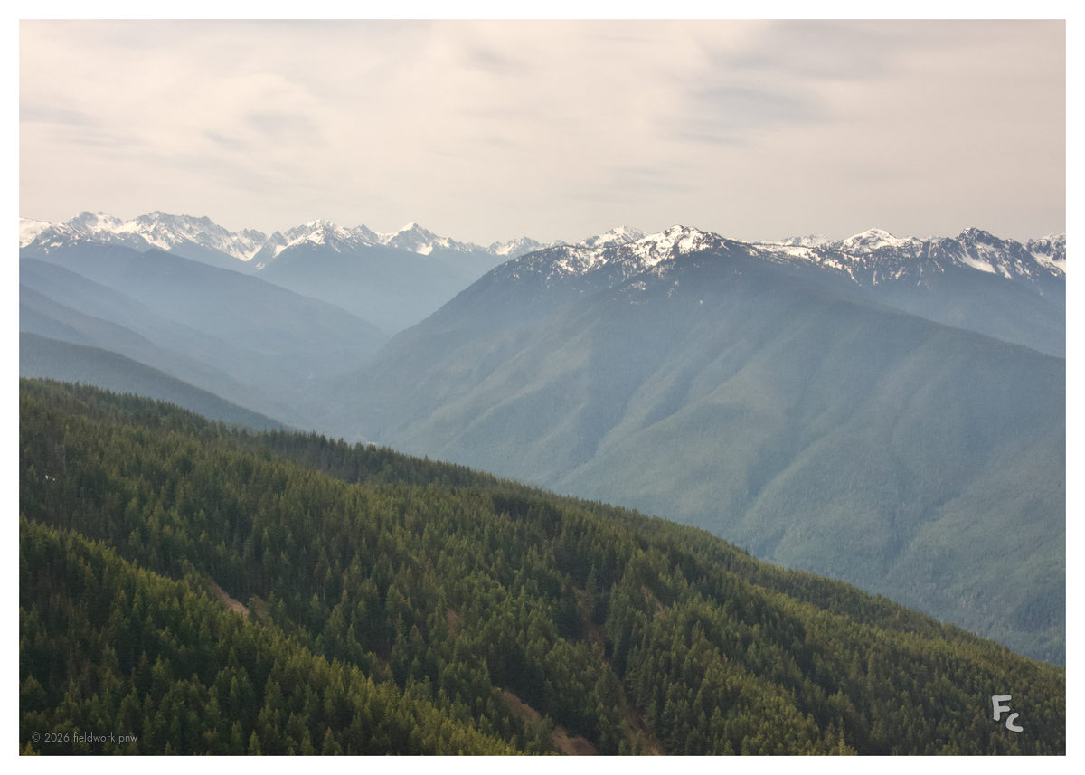 ONP-0005 — Postcard