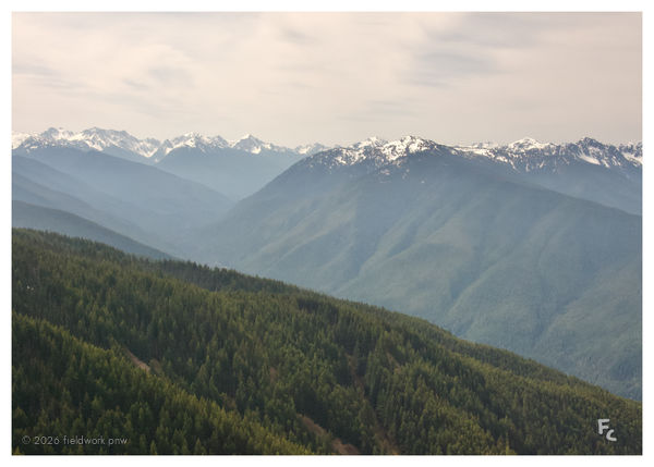 misty mountains