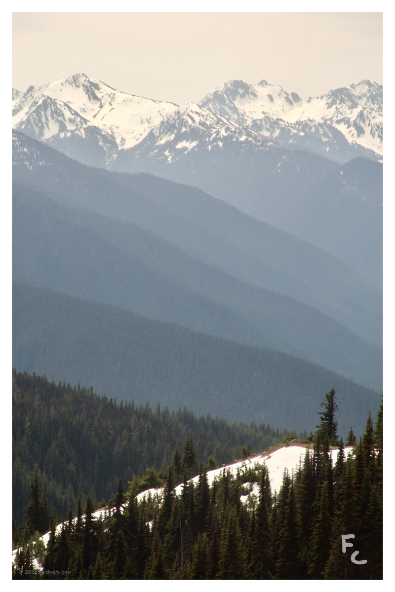 ONP-0006 — Postcard · front