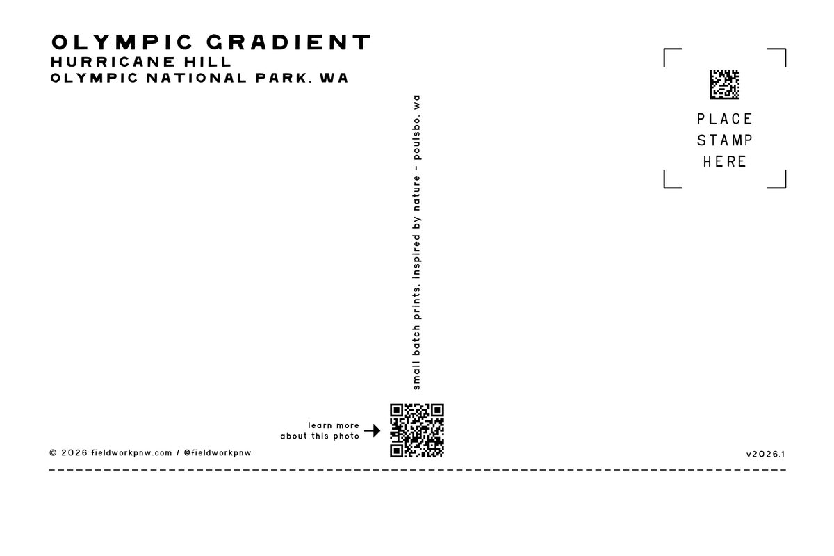 ONP-0006 — Postcard · back