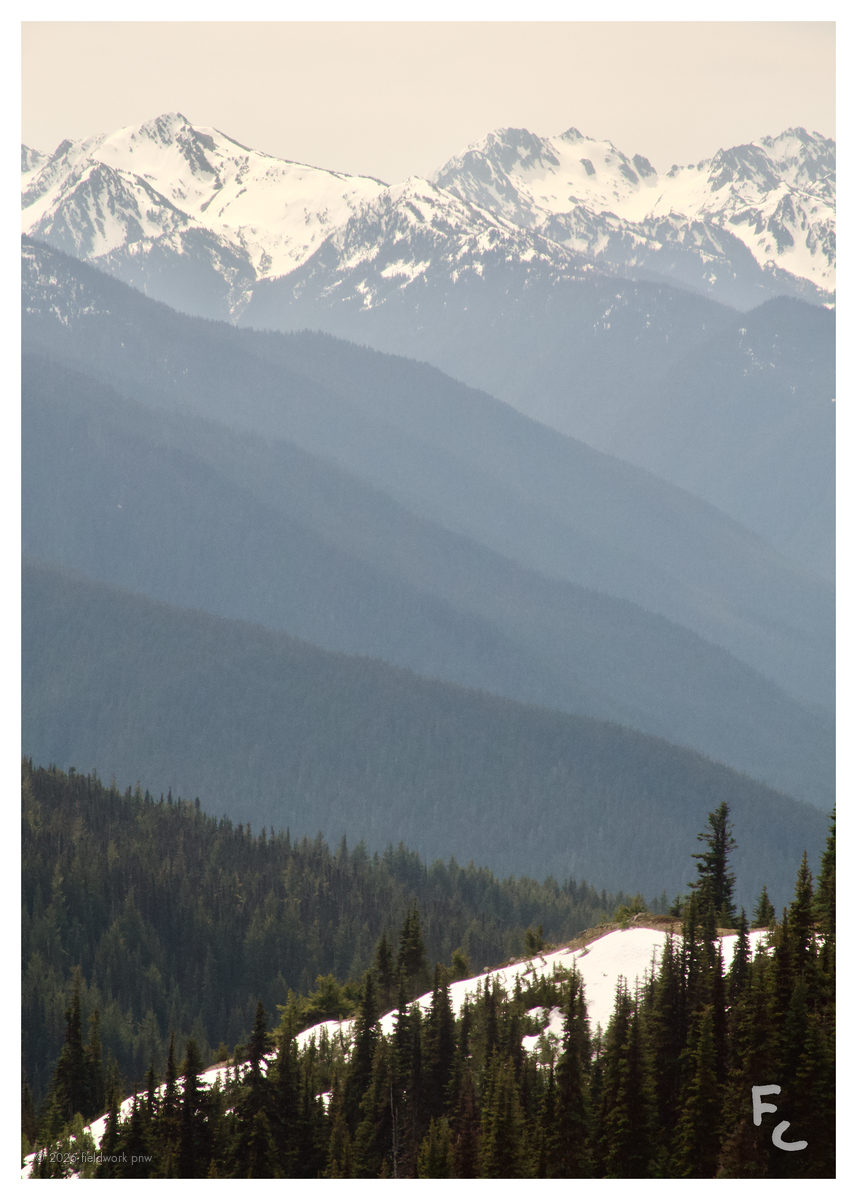 ONP-0006 — Postcard