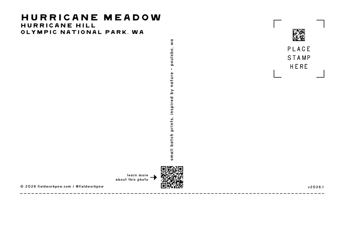 ONP-0008 — Postcard · back