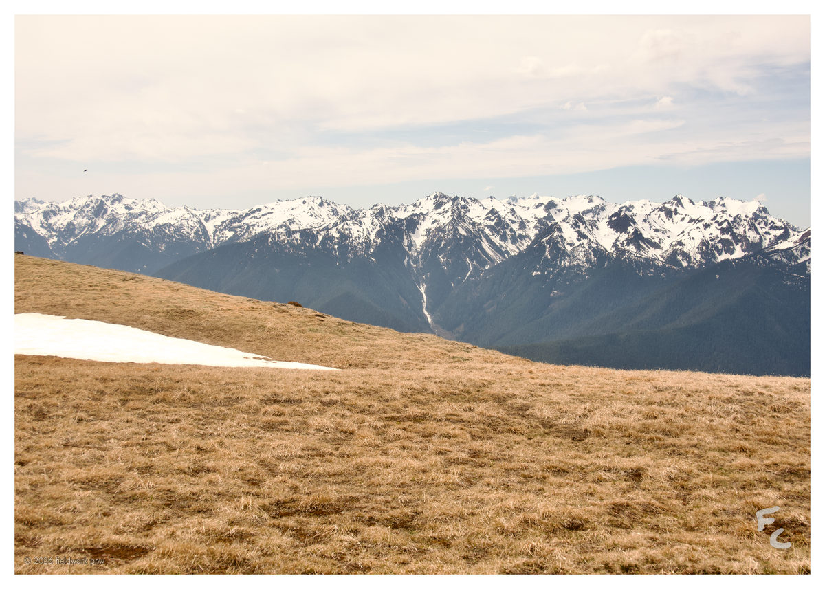 ONP-0008 — Postcard