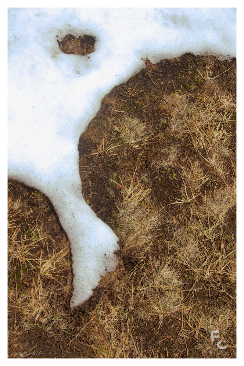ONP-0010 — Postcard · front