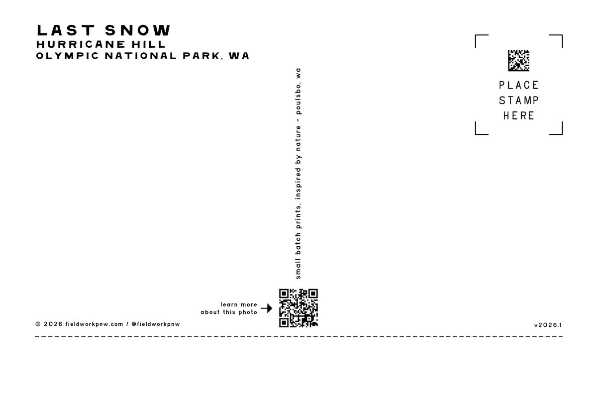 ONP-0010 — Postcard · back