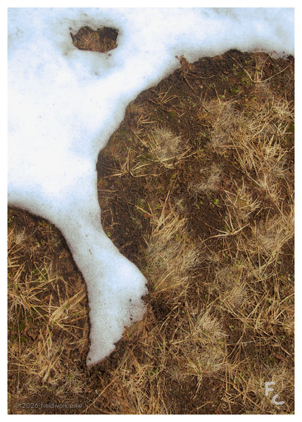 last snow