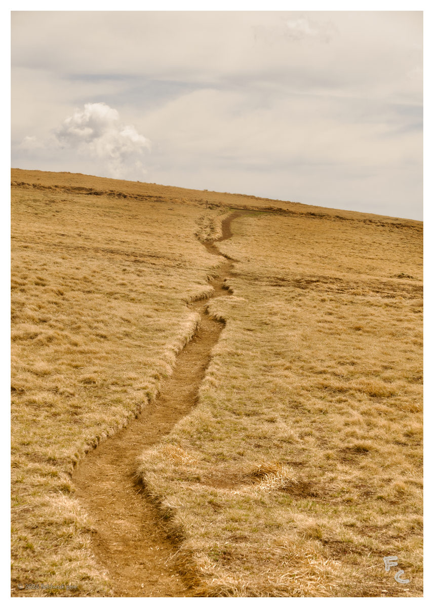 ONP-0011 — Postcard