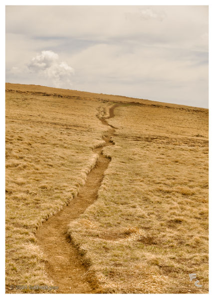 the path ahead