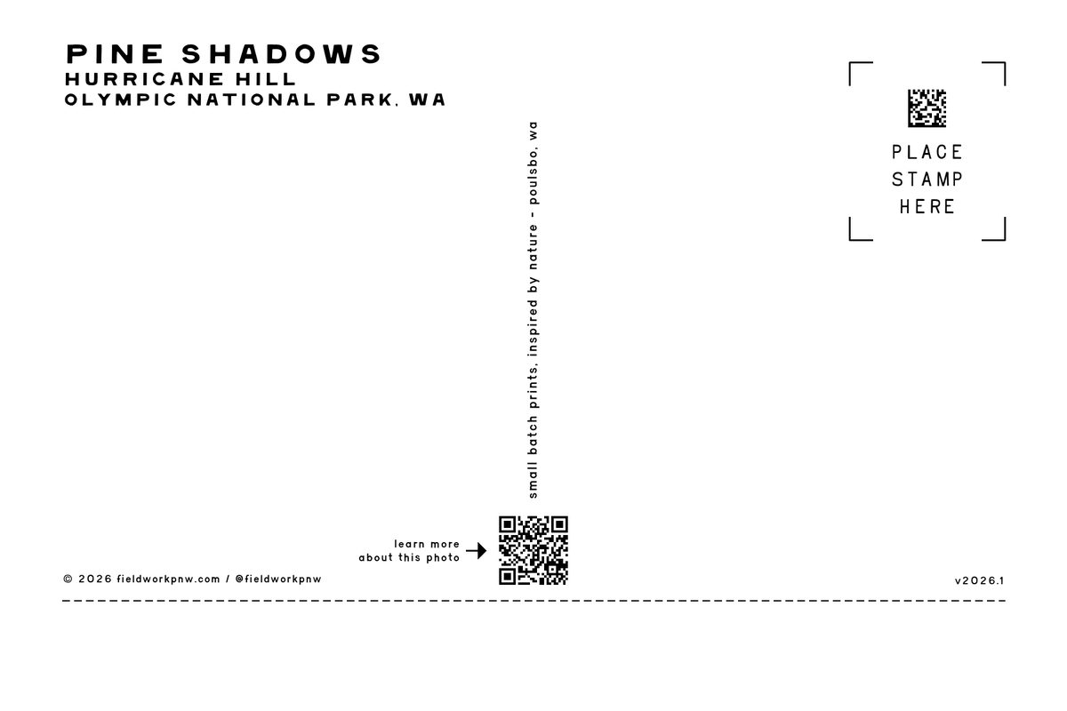 ONP-0012 — Postcard · back