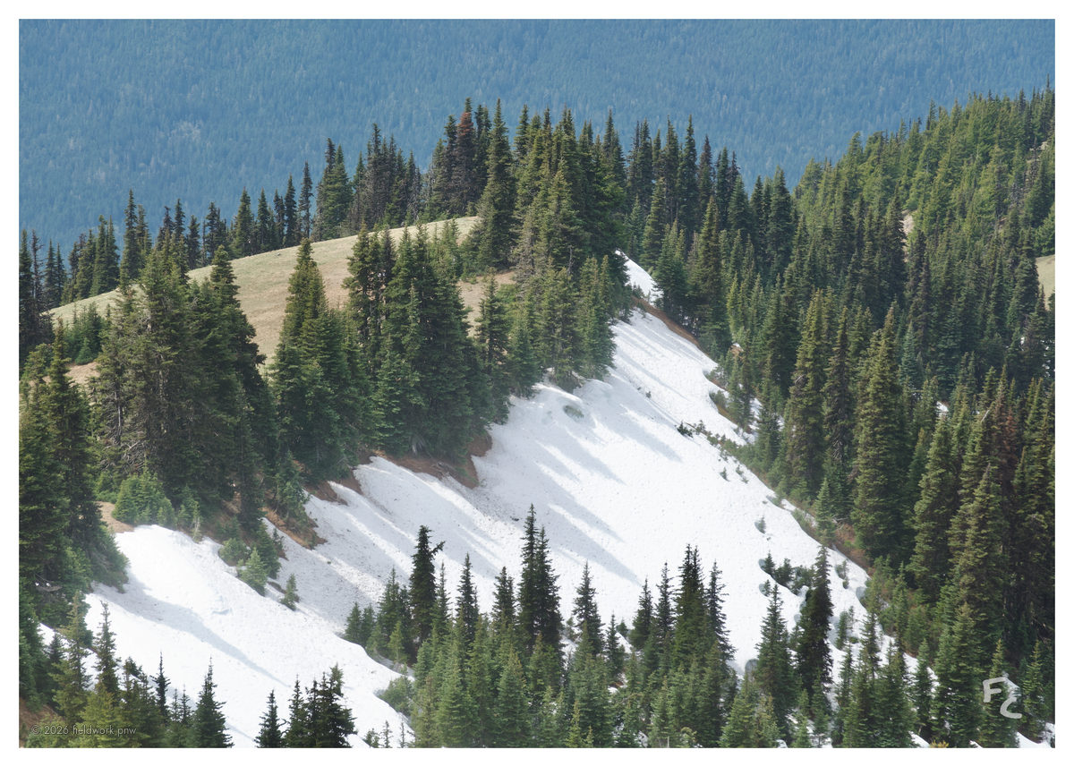 ONP-0012 — Postcard