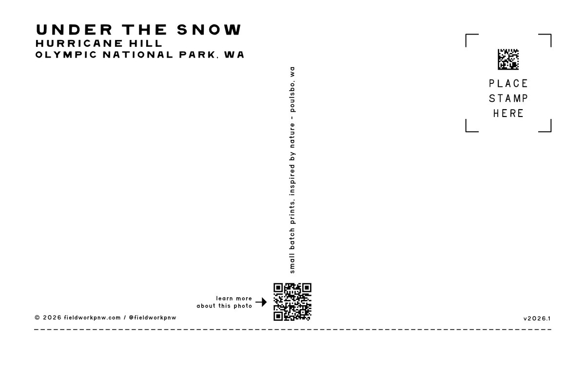 ONP-0013 — Postcard · back