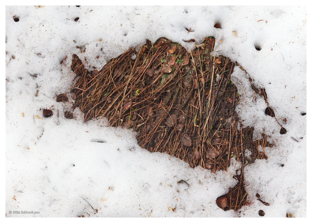 ONP-0013 — Postcard