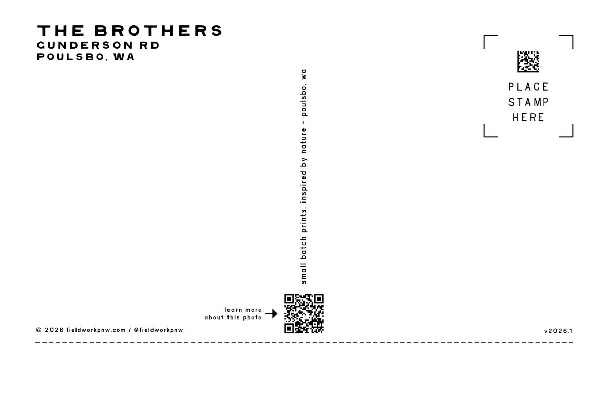 PB-0004 — Postcard · back