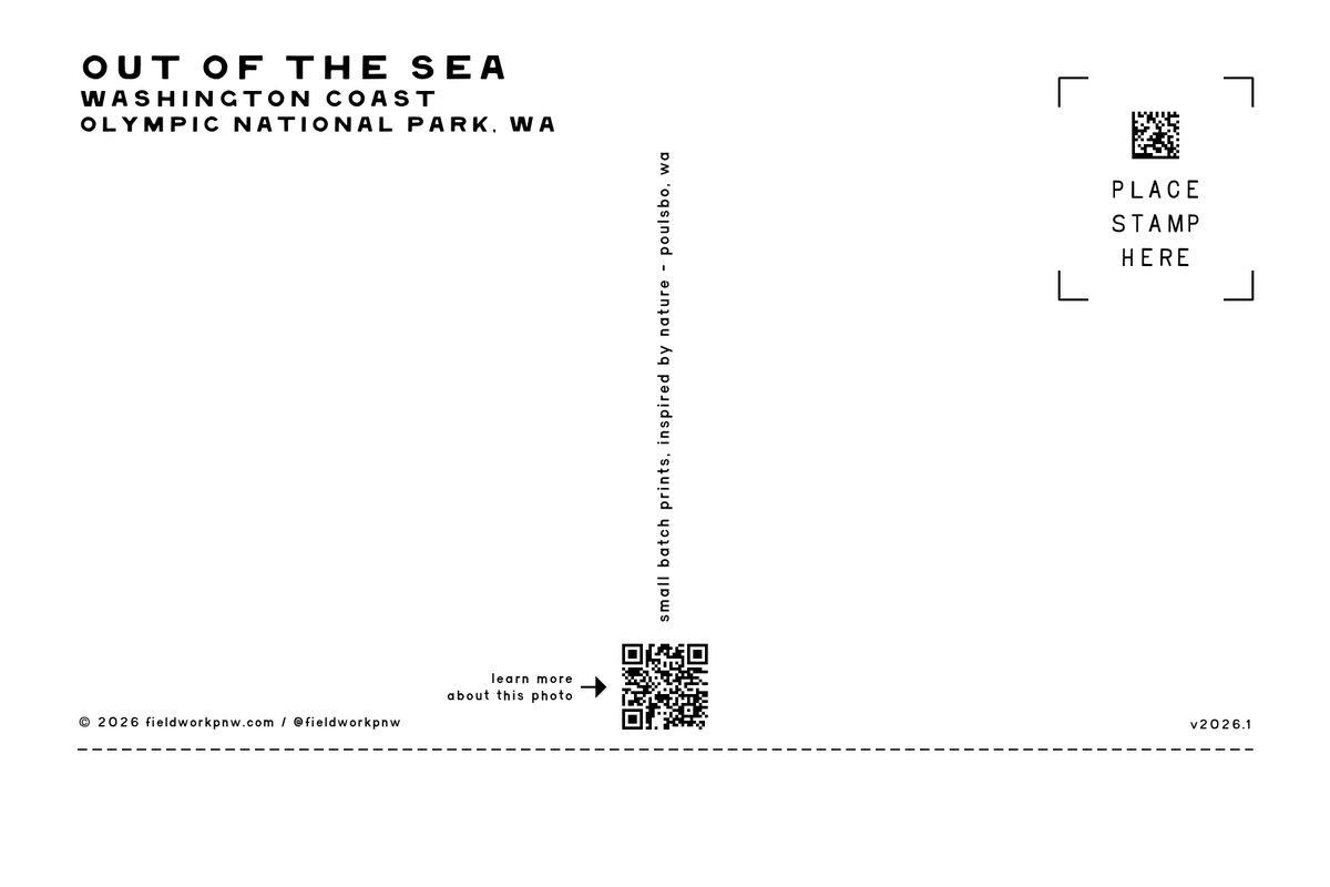 QLT-0001 — Postcard · back