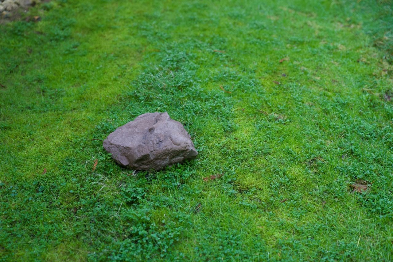 3D render — This is not a rock.