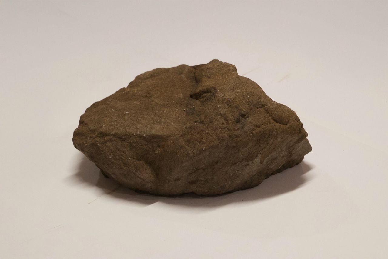 3d: This is not a rock.